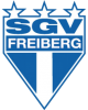 TSV施泰因巴赫